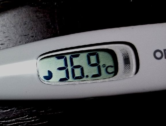 36.9度