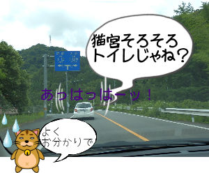 P6060043.png