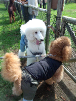 rblog-20131015171749-02.png