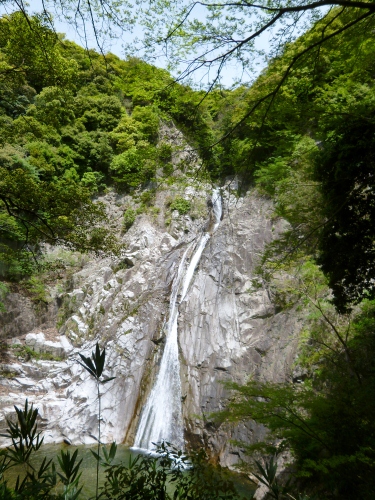 099 (375x500).jpg