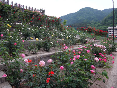 萬国屋144.jpg