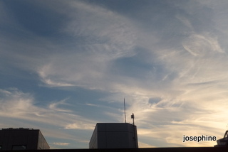 DSCF5295.JPG