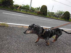 conv0472.JPG
