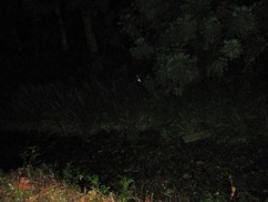 IMG_4680.jpg