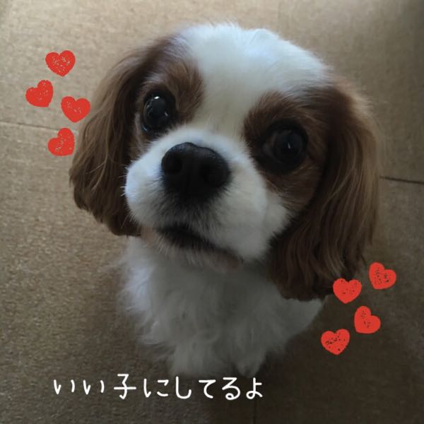 rblog-20160131104624-01.jpg