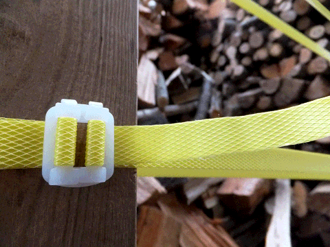 ppband2.gif
