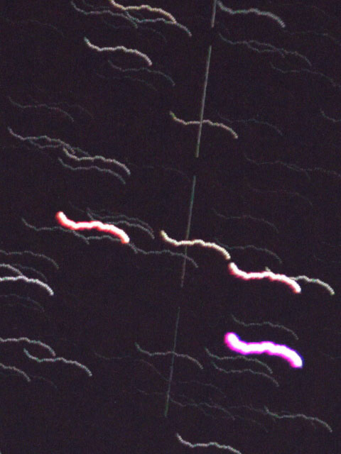 現在のナノトラッカーのピリオディックモーション