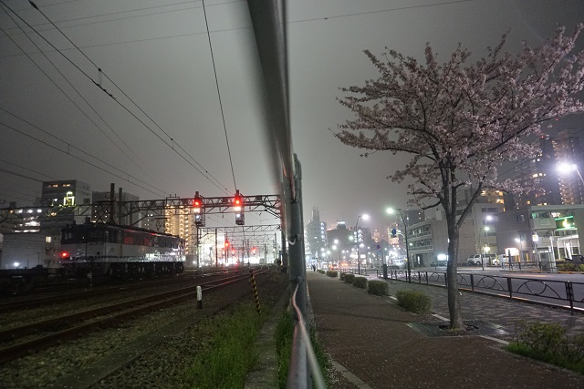 EF81 98 ☆彡牽引 水戸チキ工臨 & EF65 2117と 夜桜6