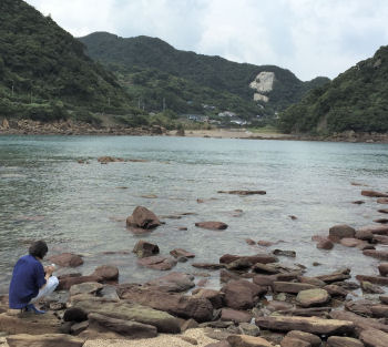 海