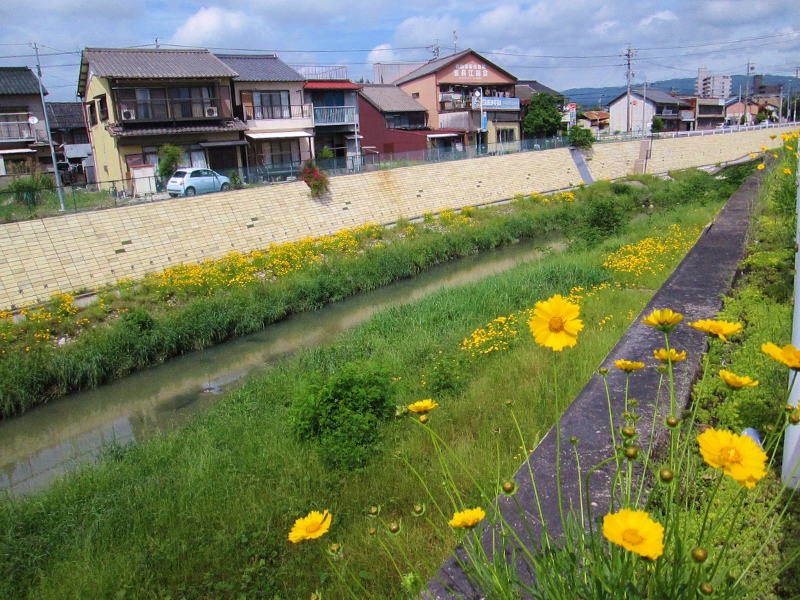 瀬戸川