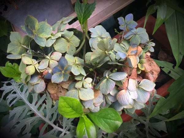 rblog-20160725204340-06.jpg