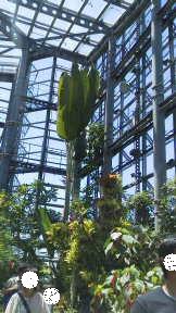 フォト♪ 215 - コピー.JPG