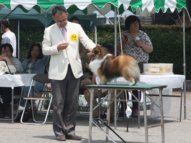 IMG_1797 - コピー.JPG