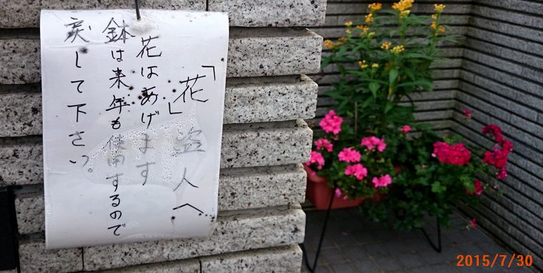 ７／３０花盗人.jpg