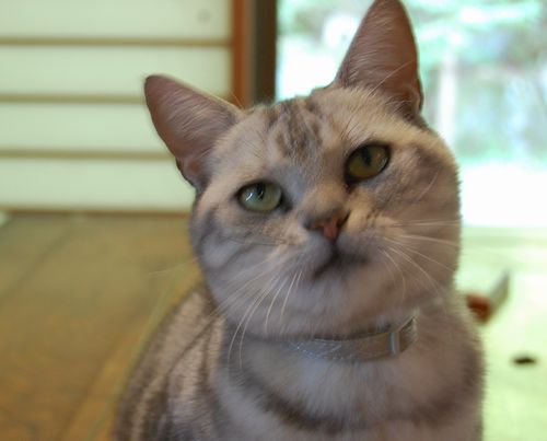DSC_0180.JPG