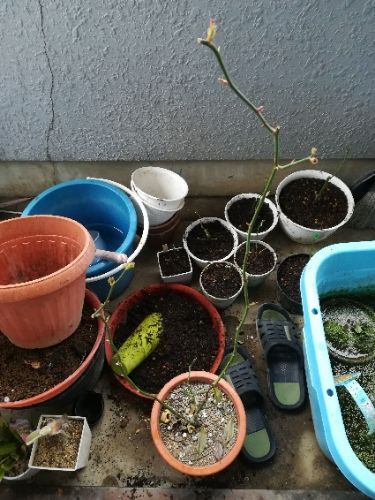rblog-20180210194225-07.jpg
