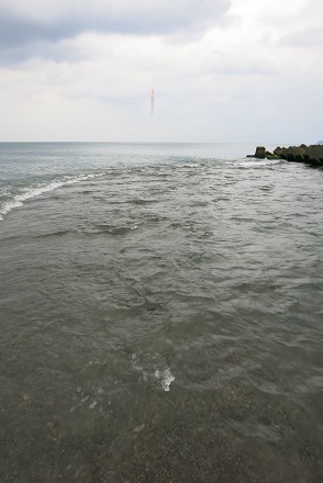 IMG_9972.jpg