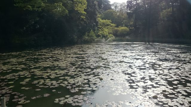 2015-04-18 15.58.17.jpg
