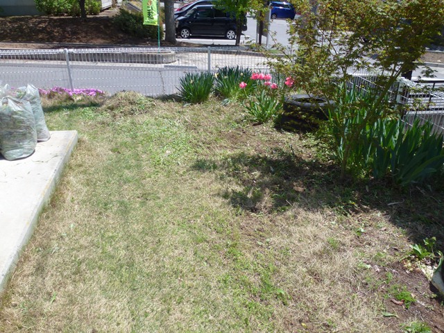 P1000352.JPG