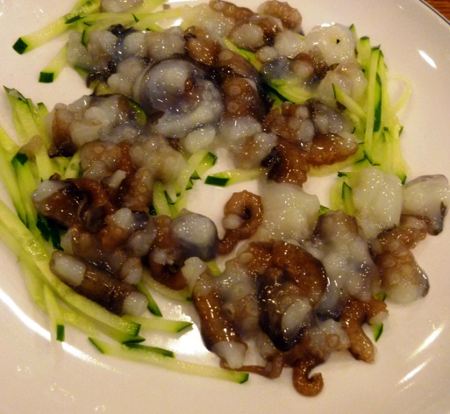 0813 live octopus.jpg
