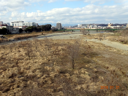 ３新浅川橋.jpg