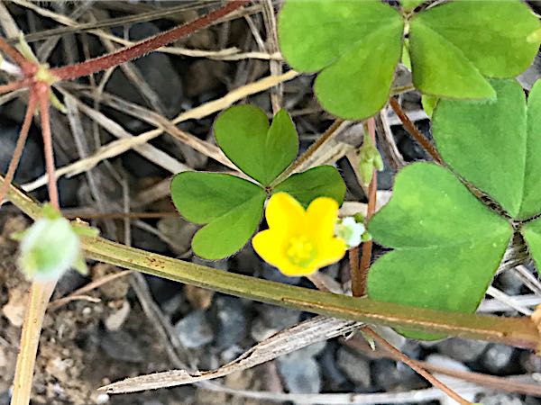 rblog-20181029111344-07.jpg