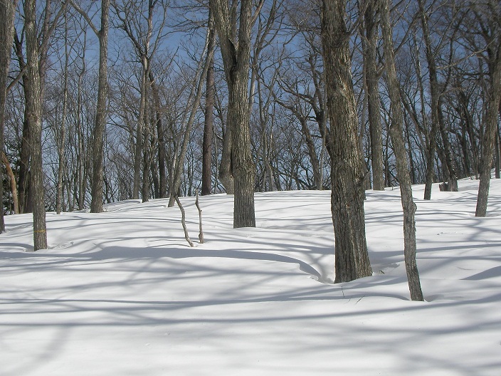 2013-02-23 20130223 014b.jpg