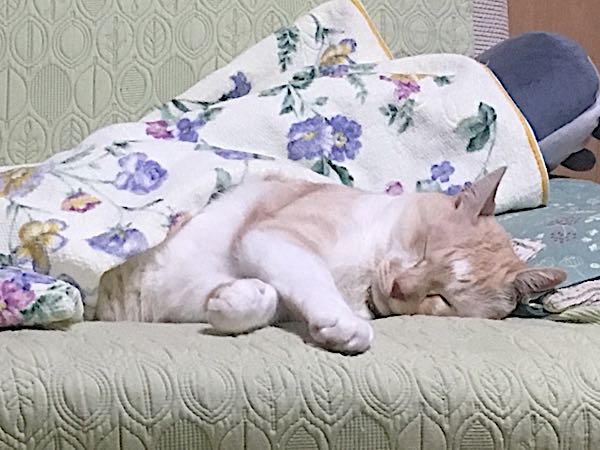 rblog-20170819212156-01.jpg