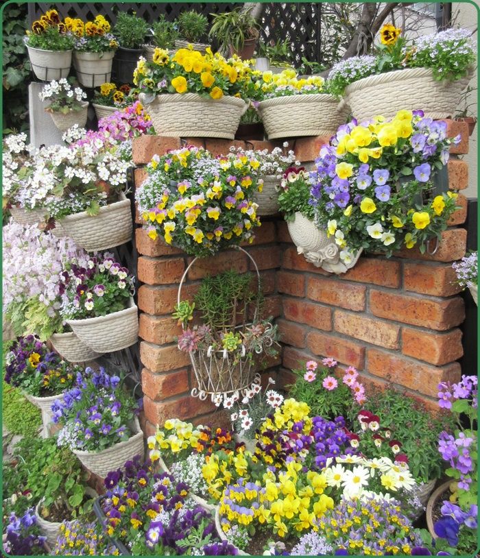 ビオラ花壇が美しくなる ビオラの寄せ植え作り 狭い庭を花いっぱいにする育て方 楽天ブログ