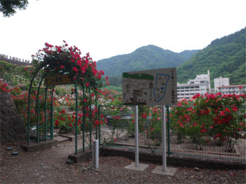 萬国屋140.jpg
