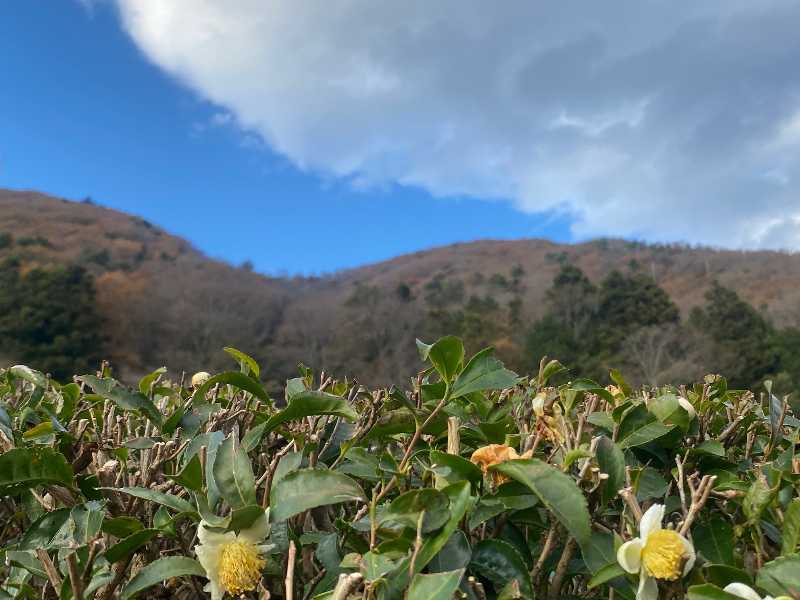 第20回醍醐山一斉登山（醍醐山を愛する会10周年記念登山）（6）感謝 | 醍醐山と下部（しもべ）温泉 - 楽天ブログ