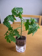 20120703-13.JPG