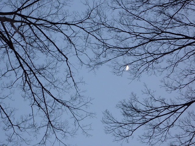 3春の夕暮れ.jpg
