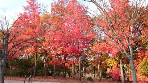 rblog-20141124212329-01.jpg