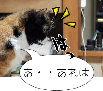 P4110015.png