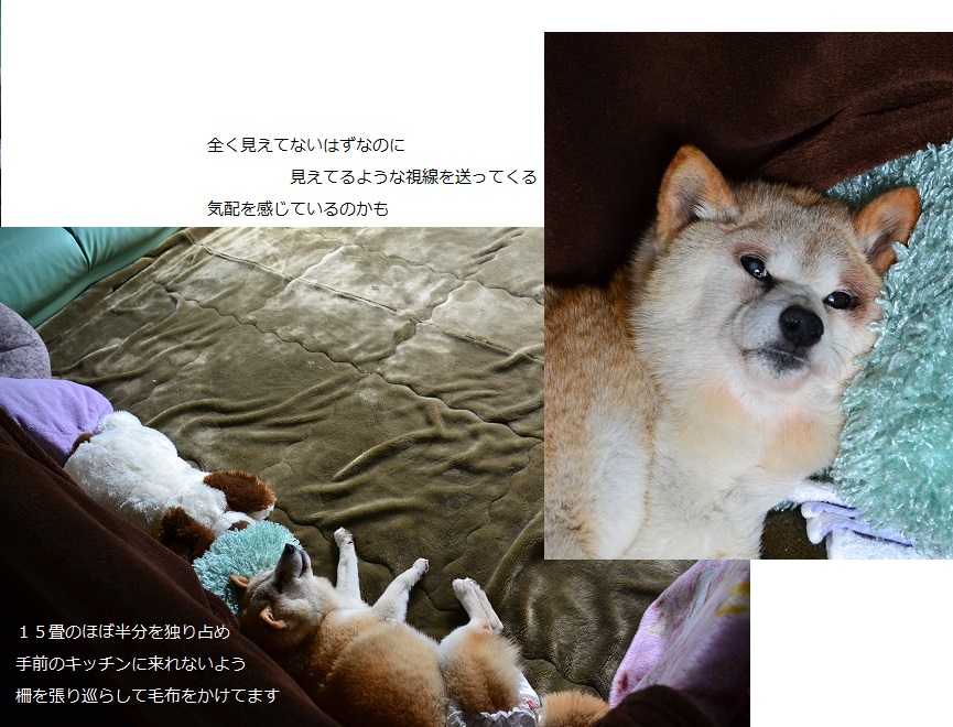 DSC_0207.JPG