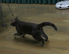 5DA_7533-17.jpg
