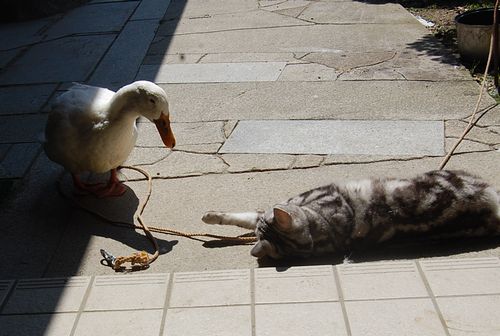 DSC_0127.JPG