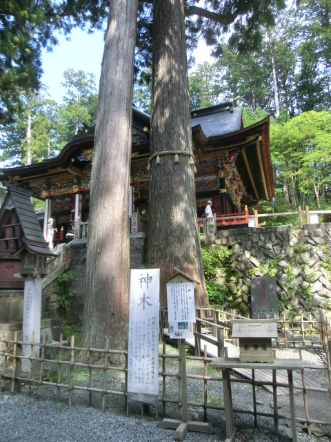 秩父旅行 (三峯神社) (56).JPG