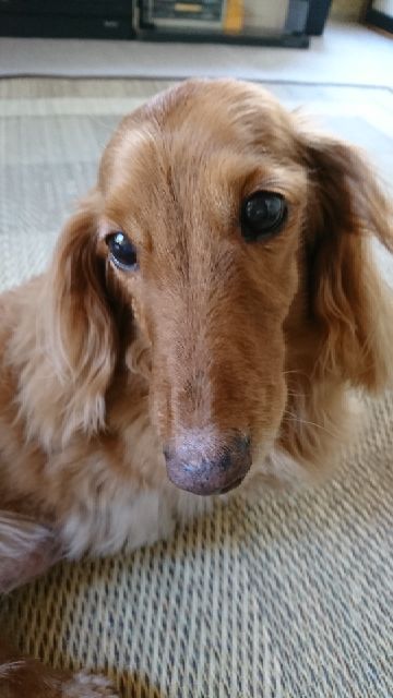 rblog-20180624074529-00.jpg