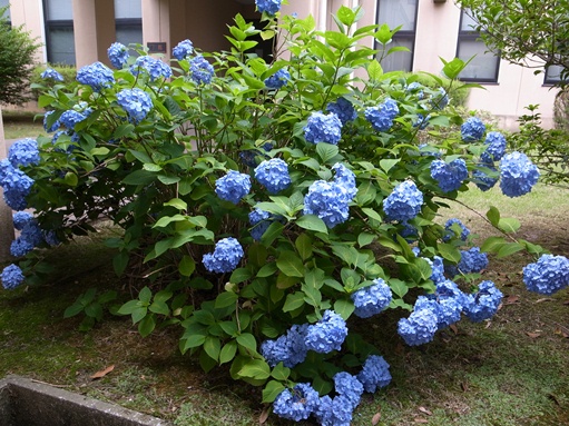R0025028.JPG