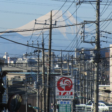 川口市根岸からの富士山