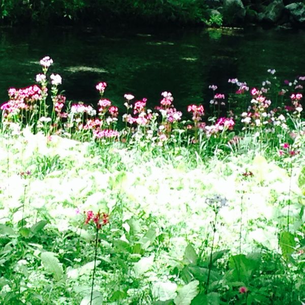rblog-20140626121039-01.jpg