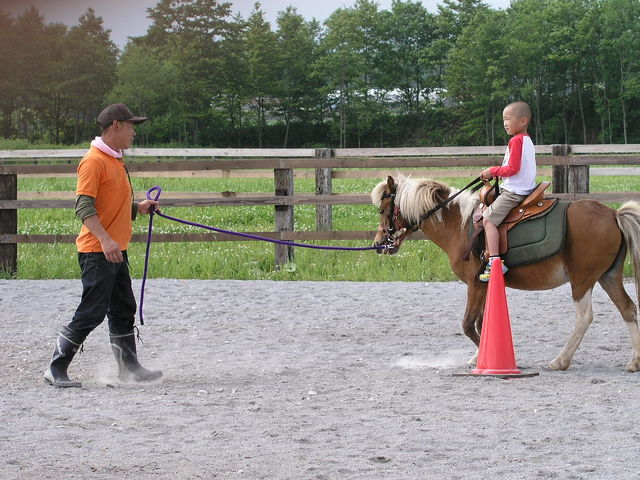 2680590_1699440943_151large.jpg
