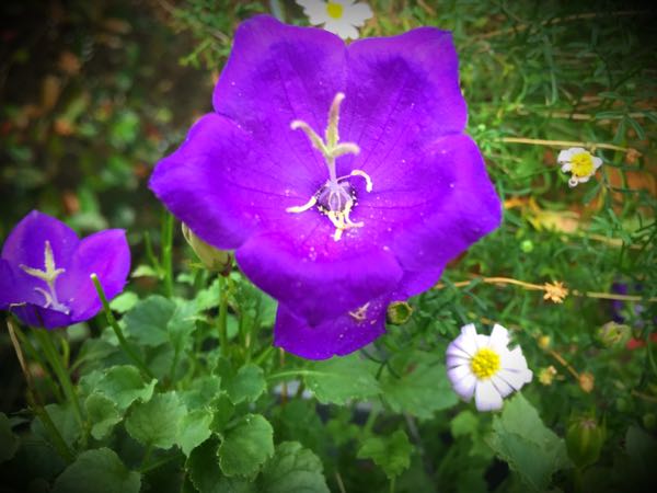 rblog-20160725214145-03.jpg