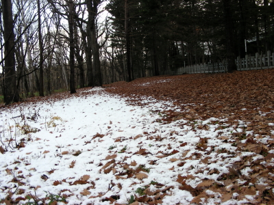 11-4nagoriyuki (3).JPG