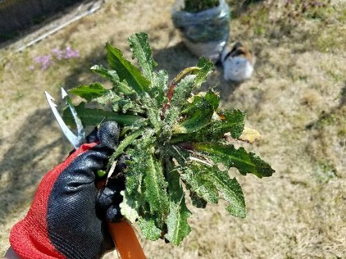 rblog-20180430124604-05.jpg