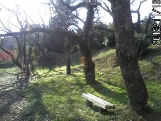 佐久山城土塁２