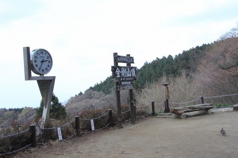 金剛山_02.jpg