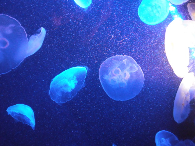 2012-11-20 09:08:27